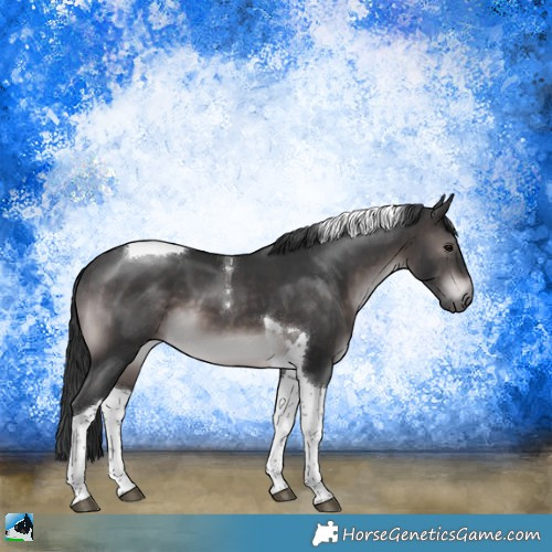 Horse Color:Platinum Brown Tobiano