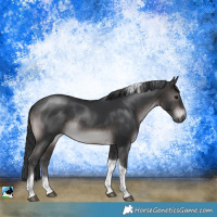 Horse Color:Platinum Brown Tobiano