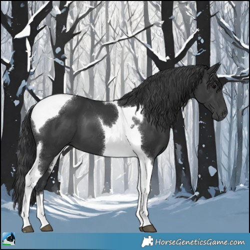 Horse Color:Platinum Black Tobiano 