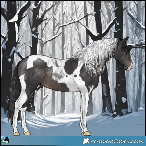 Horse Color:Platinum Brown Tobiano 
