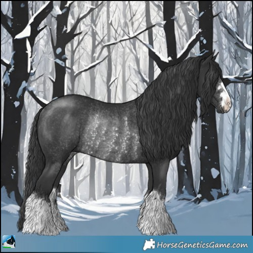 Horse Color:Platinum Black Rabicano 