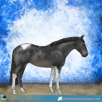 Horse Color:Platinum Black Tobiano