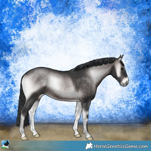 Horse Color:Platinum Brown Onyx