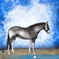 Horse Color:Platinum Brown Onyx