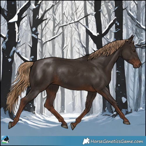 Horse Color:Liver Chestnut Rabicano 