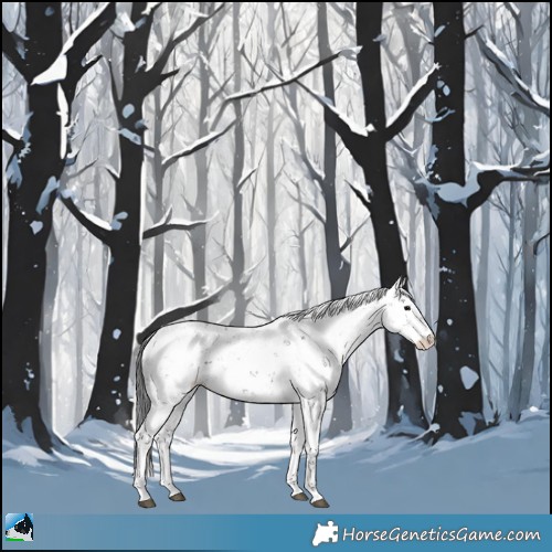 Horse Color:Black Sabino Rabicano