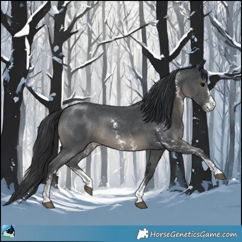 Horse Color:Black Sabino 