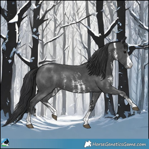 Horse Color:Black Sabino 