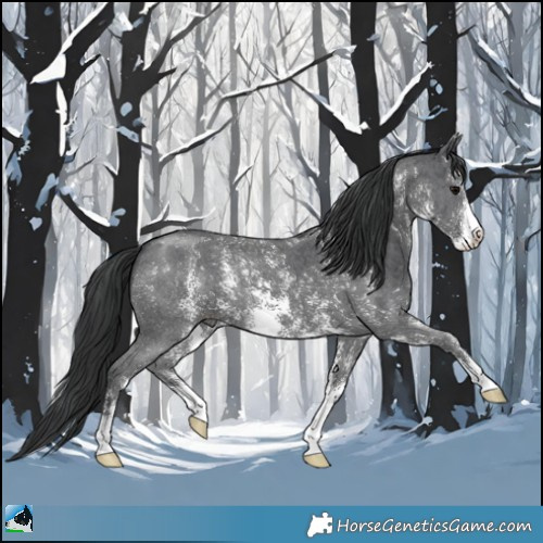 Horse Color:Black Sabino 