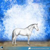 Horse Color:Black Ice Sabino