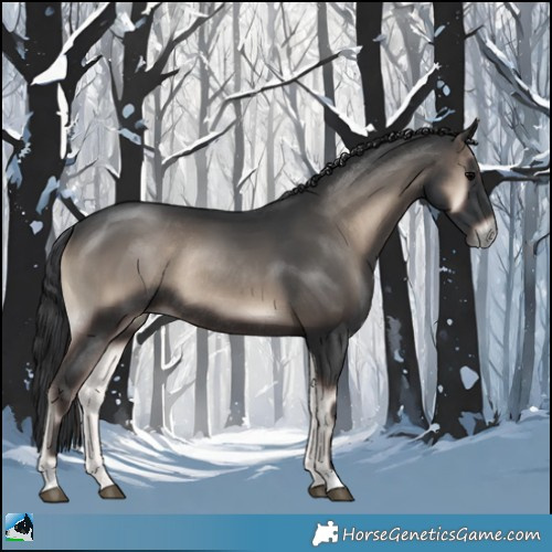Horse Color:Blue Onyx Rabicano 