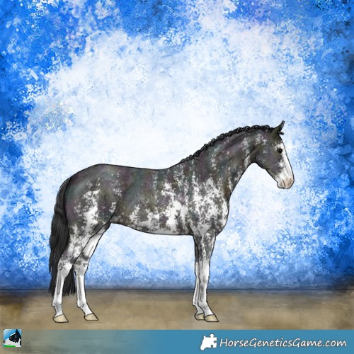 Horse Color:Midnight Brown Ice Sabino 