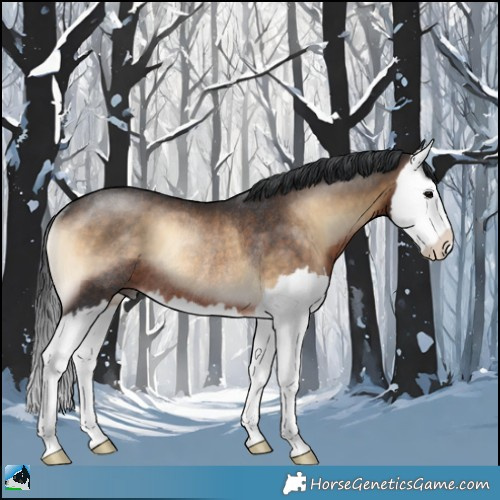 Horse Color:Brown Onyx Splash Rabicano 