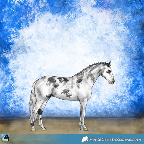 Horse Color:Liver Chestnut Mushroom Sabino Splash Rabicano