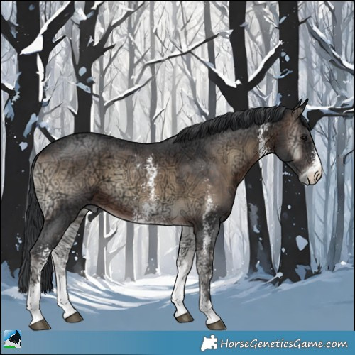 Horse Color:Brown Ice Onyx Sabino 