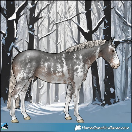 Horse Color:Liver Chestnut Mushroom Sabino 