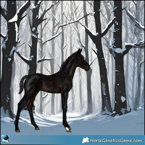 Horse Color:Midnight Brown Ice Mushroom 