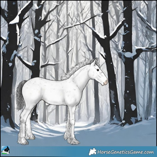 Horse Color:Brown Onyx Sabino Rabicano 