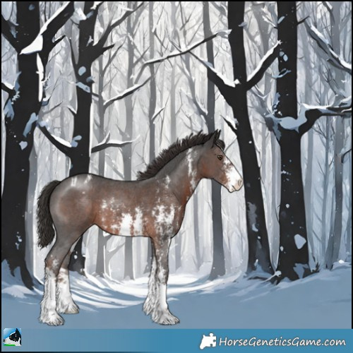 Horse Color:Liver Chestnut Sabino Appaloosa Rabicano 