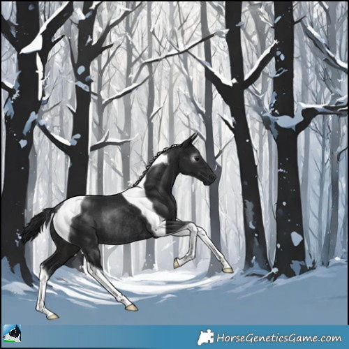 Horse Color:Gray Brown Mushroom Tobiano Rabicano 