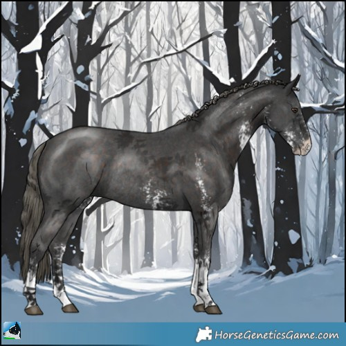 Horse Color:Liver Chestnut Mushroom Sabino Rabicano 