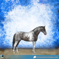 Horse Color:Brown Tobiano Rabicano 