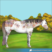 Horse Color:Nacre Buckskin Ice Dun Splash 