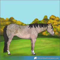 Horse Color:Buckskin Ice Dun 