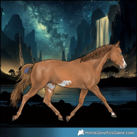 Horse Color:Chestnut Frame