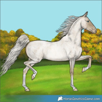Horse Color:White Spotted Silver Buckskin Roan Pearl 