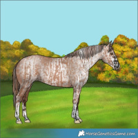Horse Color:Void Black Pearl and Gray Brown Pearl Sabino