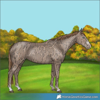 Horse Color:Black Ice Pearl 