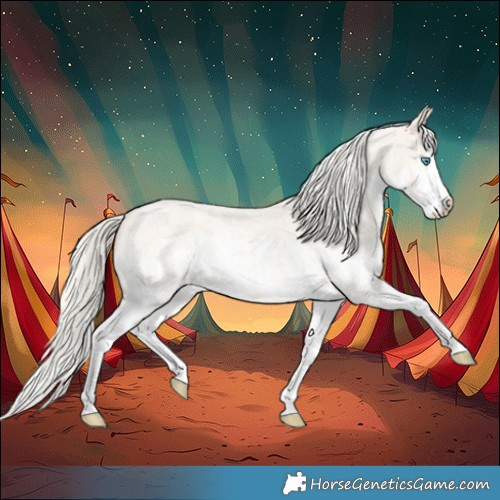 Horse Color:Cremello Roan Splash  and Cremello Roan Splash 
