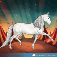 Horse Color:Cremello Roan Splash  and Cremello Roan Splash 