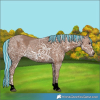 Horse Color:Void Painted Silver Black Ice 