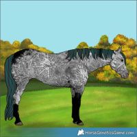 Horse Color:Void Painted Black Ice Tobiano 