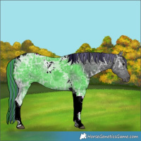 Horse Color:Painted Black Ice Tobiano 