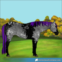 Horse Color:Void Painted Black Ice Splash Tobiano 