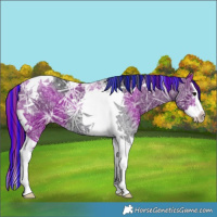 Horse Color:Painted Black Ice Splash Tobiano