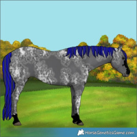 Horse Color:Void Painted Black Ice