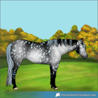 Horse Color:ERROR: UNKNOWN ANOMALY