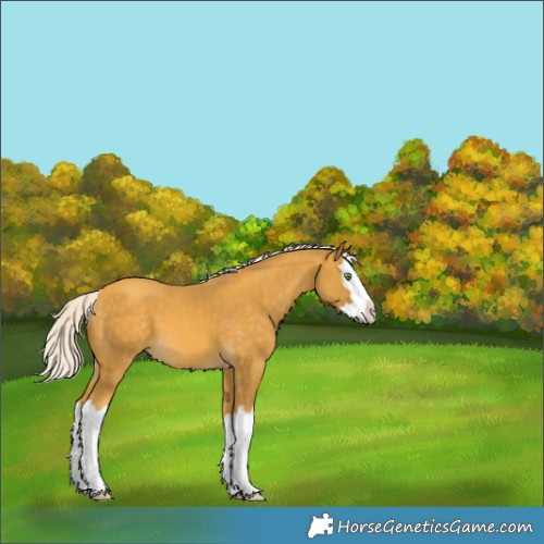 Horse Color:White Spotted Silver Sable Cream Champagne Splash 