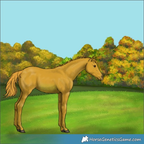 Horse Color:Watercolor Chestnut 