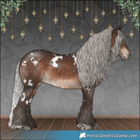 Horse Color:White Spotted Silver Brown
