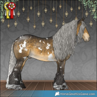 Horse Color:White Spotted Silver Buckskin 