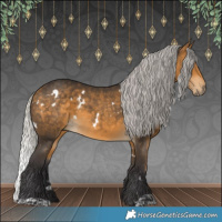 Horse Color:White Spotted Silver Buckskin 