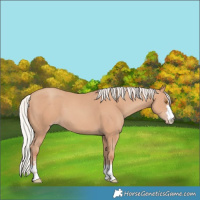 Horse Color:Silver Classic Champagne 