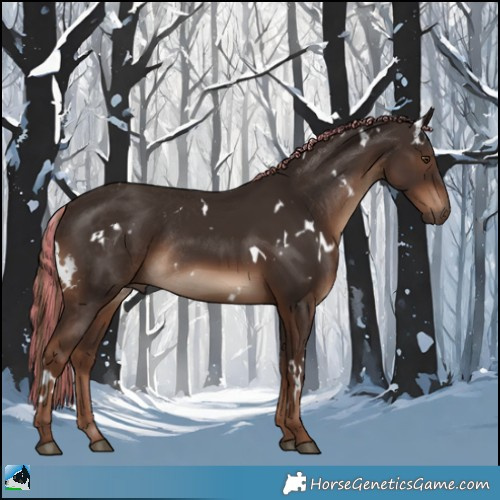 Horse Color:Painted White Spotted Liver Chestnut Rabicano 