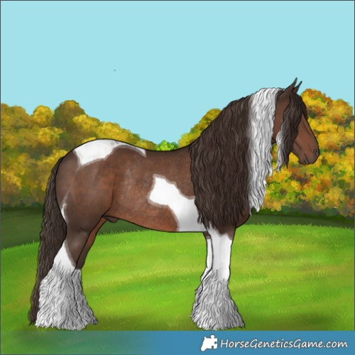 Horse Color:Liver Chestnut Tobiano Rabicano 