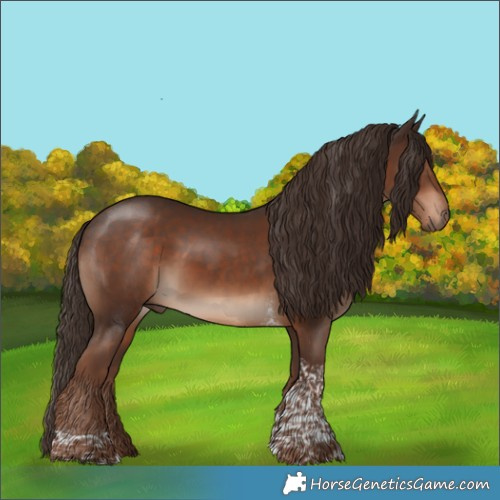 Horse Color:Liver Chestnut Tobiano Rabicano 